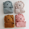 Toffee Lion Lovey