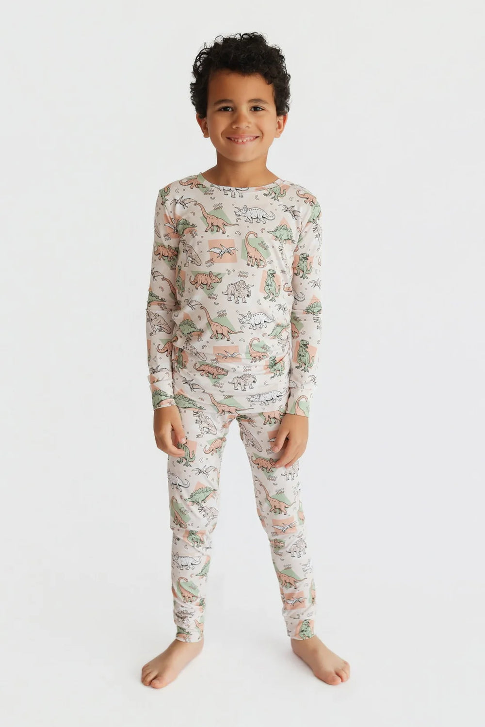 Dino Delight Dream Set