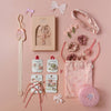Ballet Shoes Hair Clips