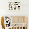 Butterfly Collector Quilt