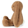 Big Bailey Bunny