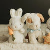 Cricket Island Skipit Puppy lifestyle photo