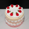 Fake Raspberry Cake
