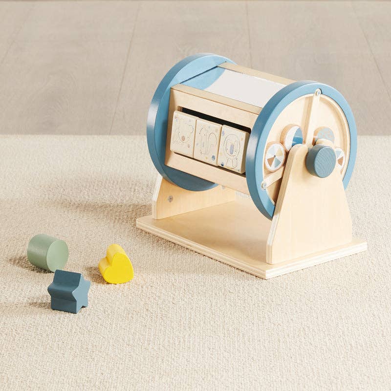 Activity Roller mirror and knobs detail