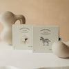 Alphabet Puzzle Pairs box packaging photo
