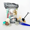 Dinosaur Fossil Dig (Cookies & Cream) KidDough Play Kit