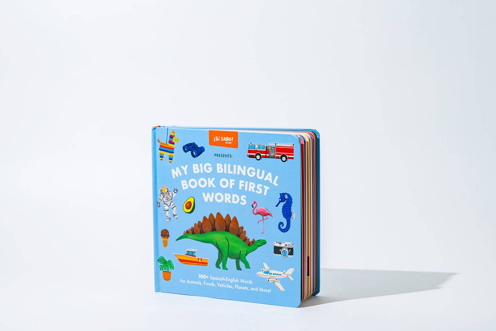 My Big Bilingual Book of First Words