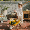 Heritage Wheelbarrow - Goldfish lifestyle