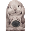 Furry Bunny Board Book