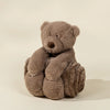 Bear Plush Toy Snuggling Blanket