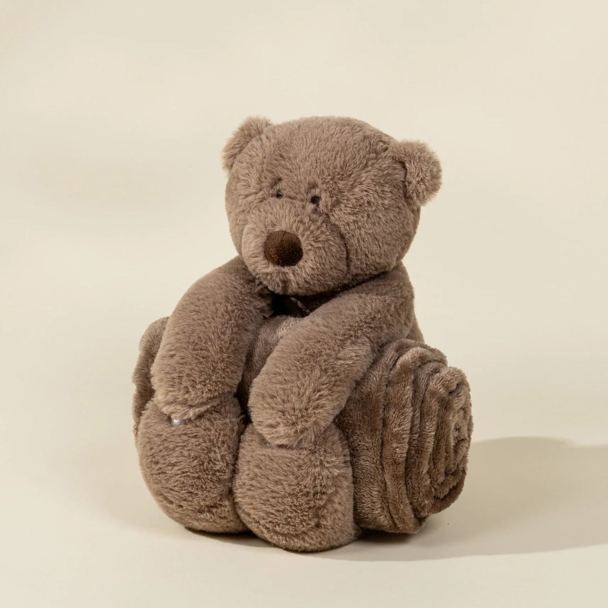 Bear Plush Toy Snuggling Blanket