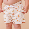Beach Break Swim Trunks