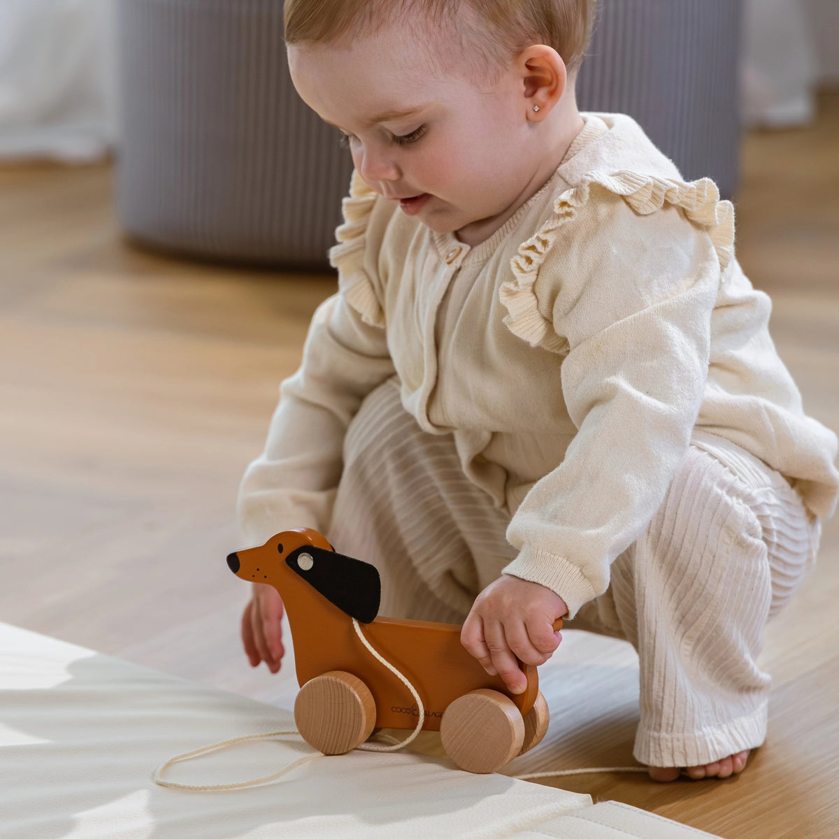 Toddler playing with dog pull toy