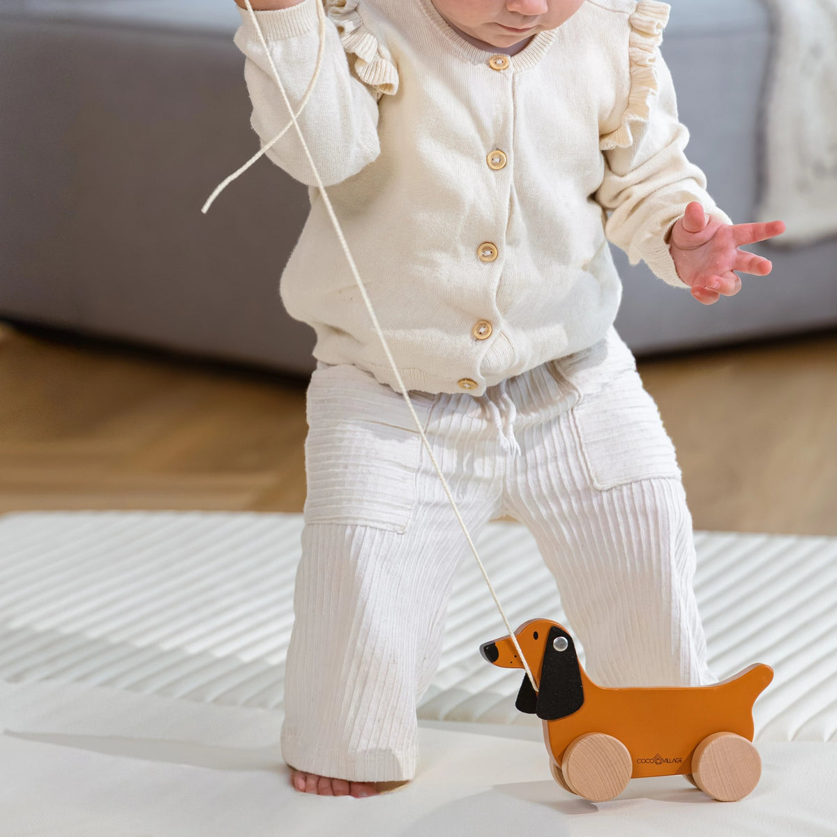 Toddler walking with dog pull toy