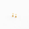 Mini Star Stud Earrings