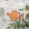 Terracotta Garden Set