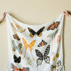 Butterfly Collector Swaddle