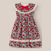 Ivy City Co Mini Aster Dress in Red Roses