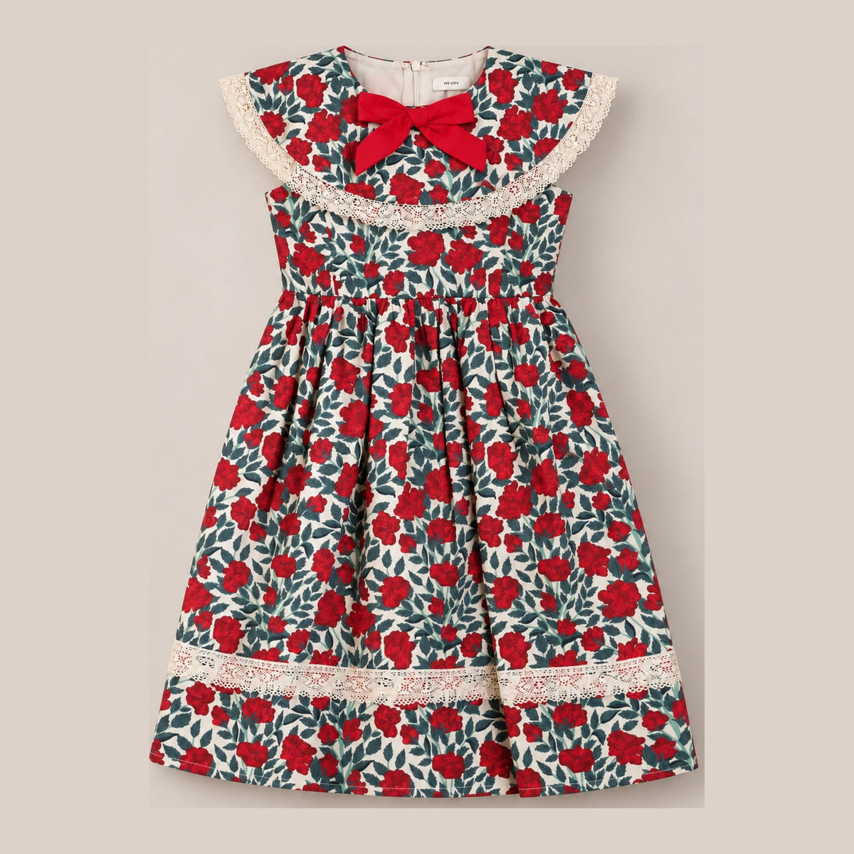 Ivy City Co Mini Aster Dress in Red Roses