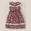 Mini Aster Dress in Red Roses - back