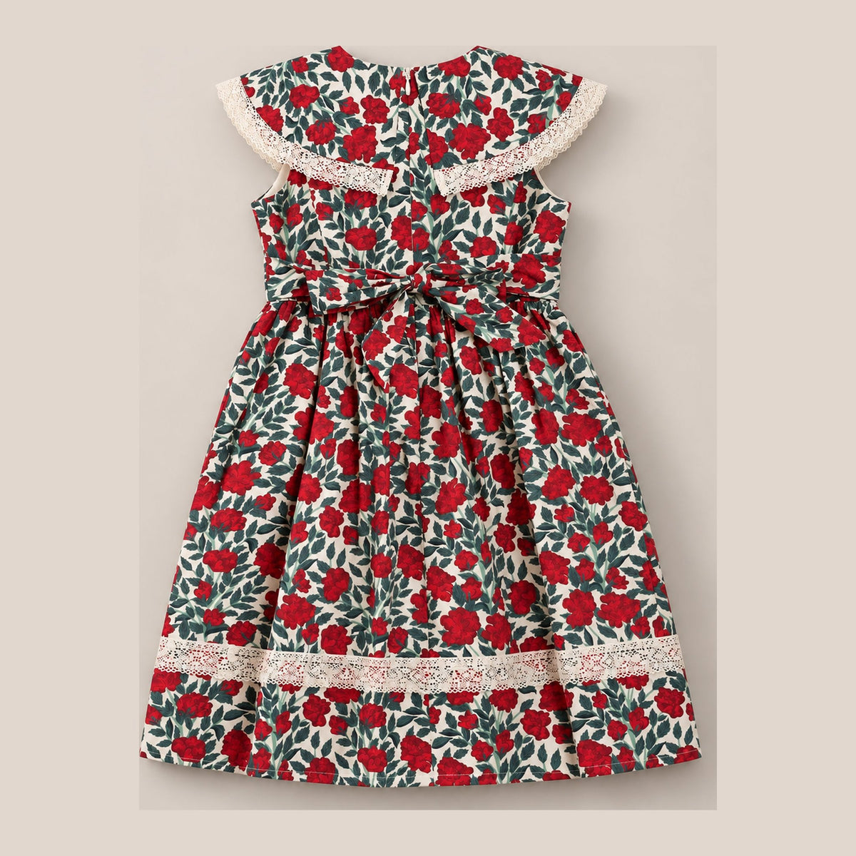 Mini Aster Dress in Red Roses - back