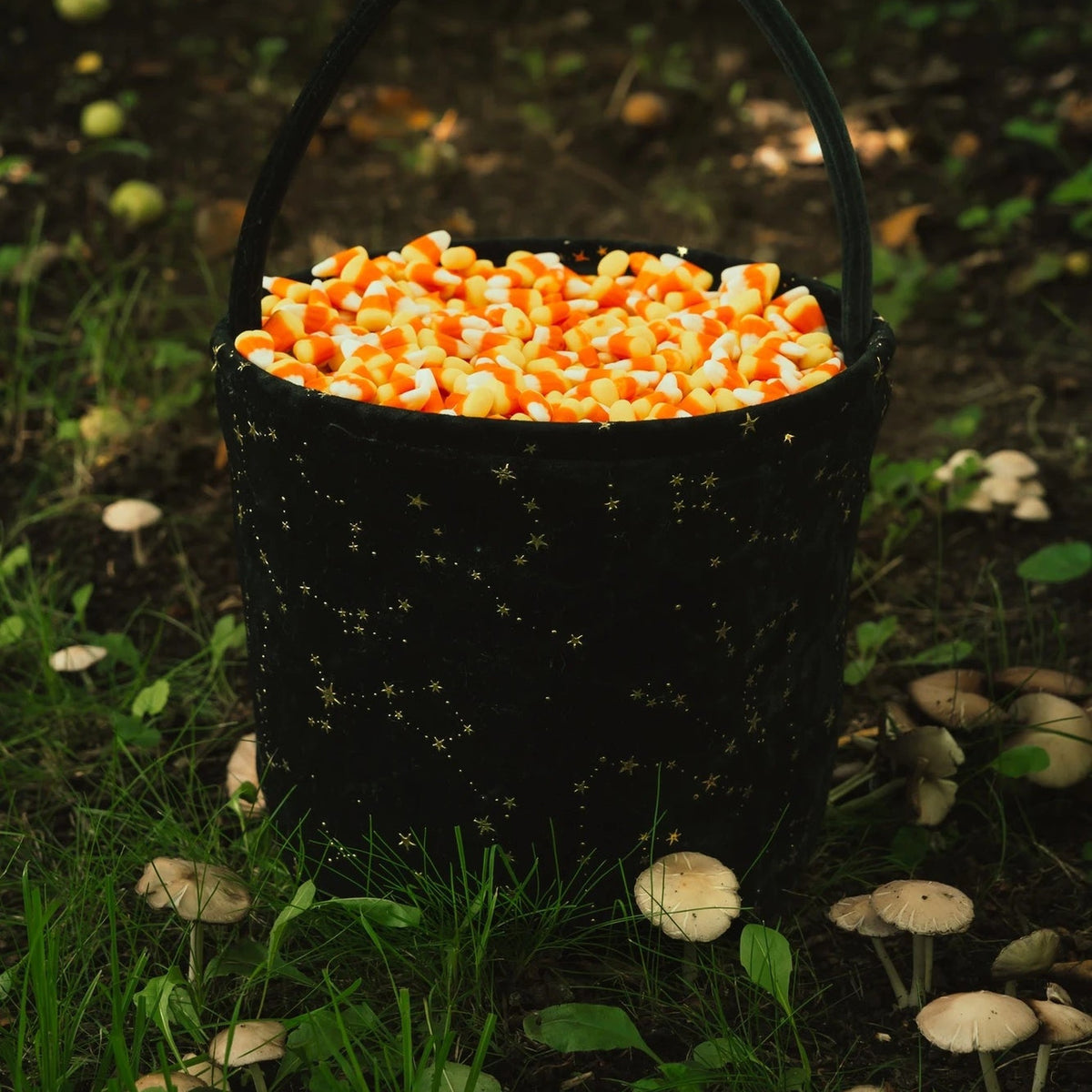 Midnight Velvet Treat Basket filled with candy corn