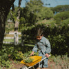 Child pushing wheelbarrow outdoors