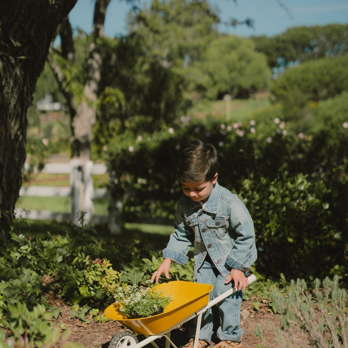 Child pushing wheelbarrow outdoors