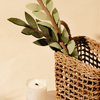 Felt Olive Branch